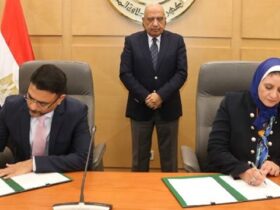 Image representatif de la signature de l'accord entre AMEA et l'Egypte pour un projet de stockage de batteries