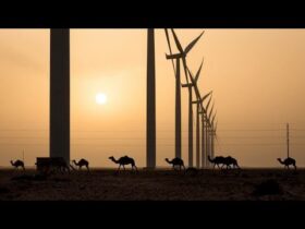 image représentative pour le Parc éolien de 100 MW à Laâyoune