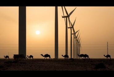 image représentative pour le Parc éolien de 100 MW à Laâyoune