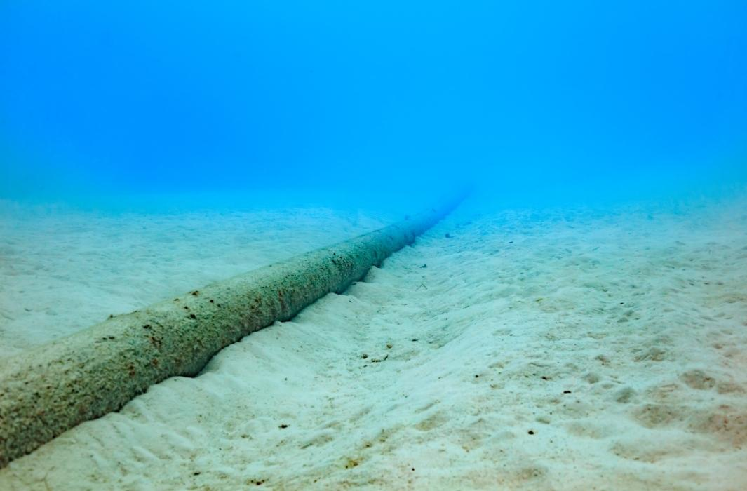 Image d'un câble sous-marin