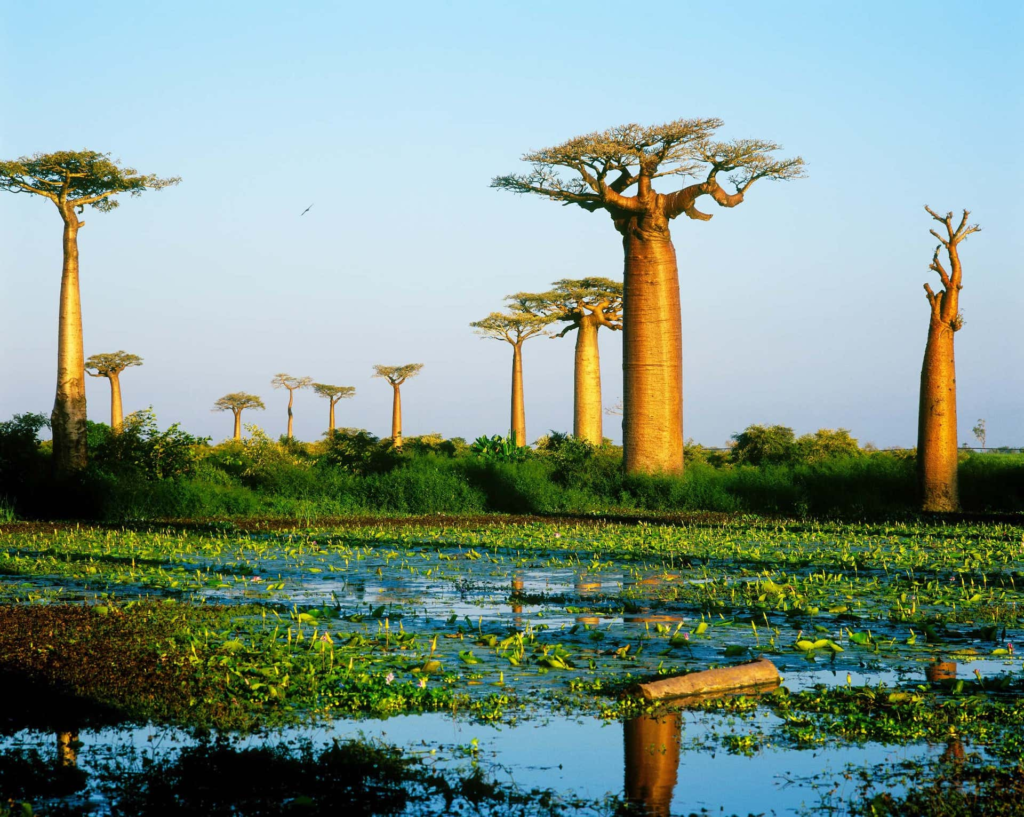 projet solaire à Madagascar