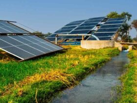 solaire décentralisé