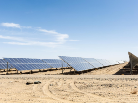 image representative de obelisk egypte